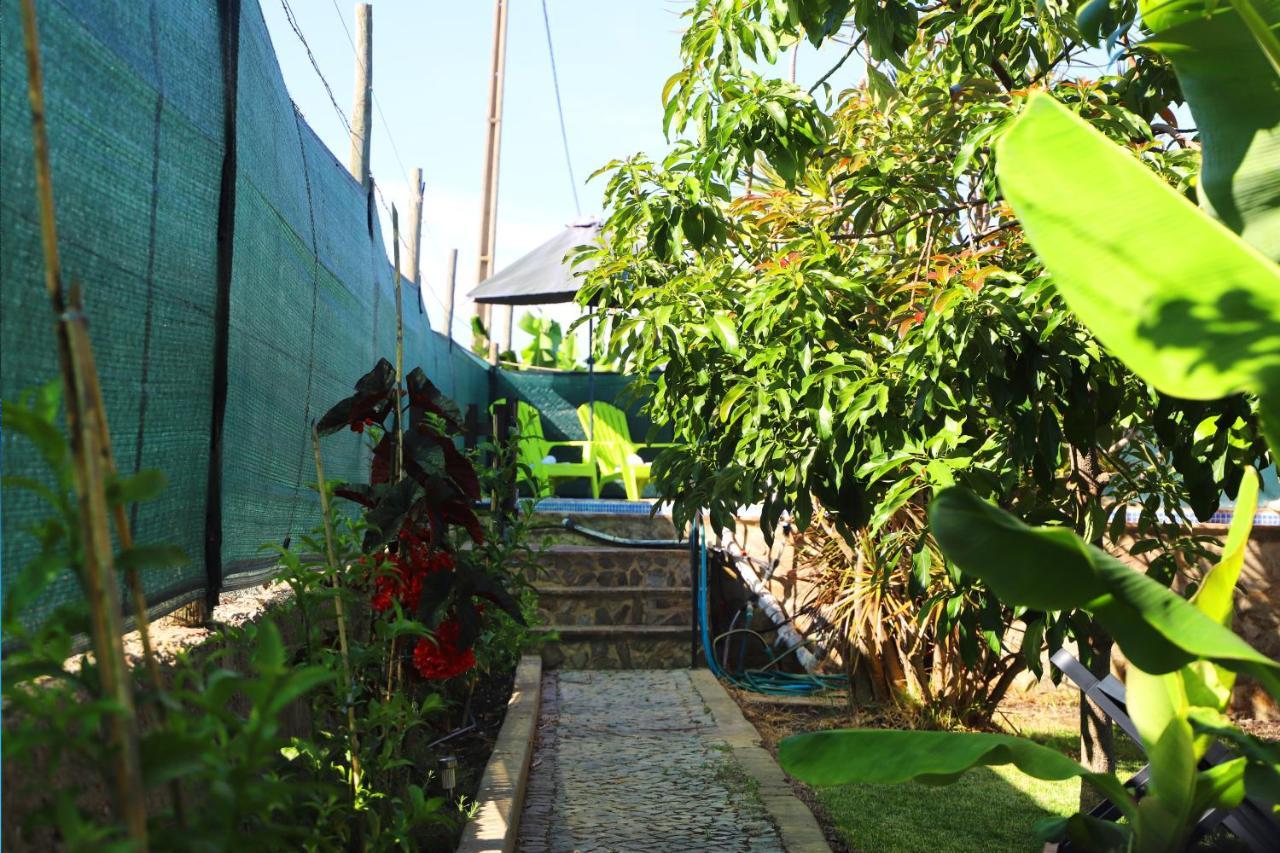 Apartmán O Quadradinho Tavira Exteriér fotografie